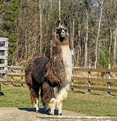 Dakota Ridge Farm, LLC - Thumbnail