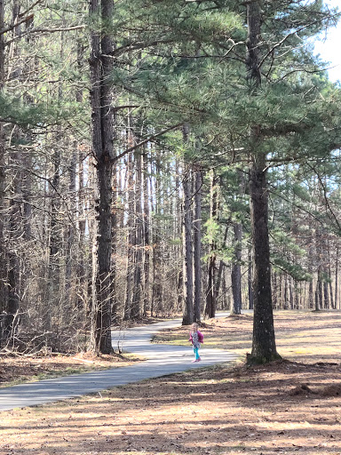 Wilbur D. Mills Park - Thumbnail