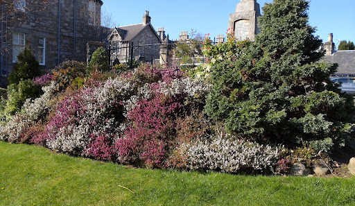 'Pitlochry in Bloom' Park - Thumbnail