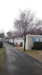 Photo n°25 de Camping des Pins à Notre-Dame-de-Monts (Terrain de camping)