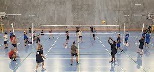 Photo n°16 de Volley Ball Santa Lucia à Zonza (Club de volley-ball)