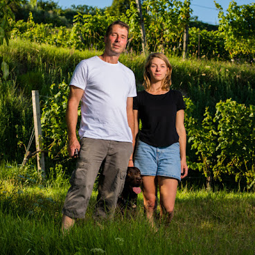 Weingut Sepp Moser by null