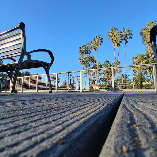 Echo Park Ave & Park Ave (Northbound) - Thumbnail