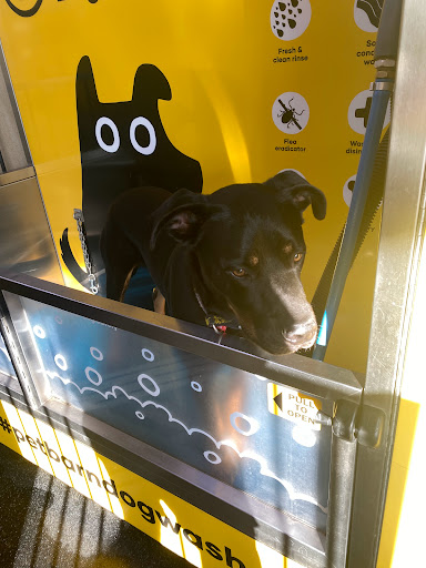 Petbarn Springfield - Thumbnail