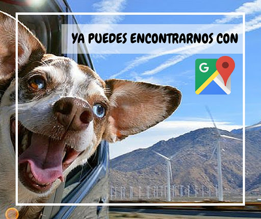 Clínica Veterinaria Dr. Gustavo Figueroa
