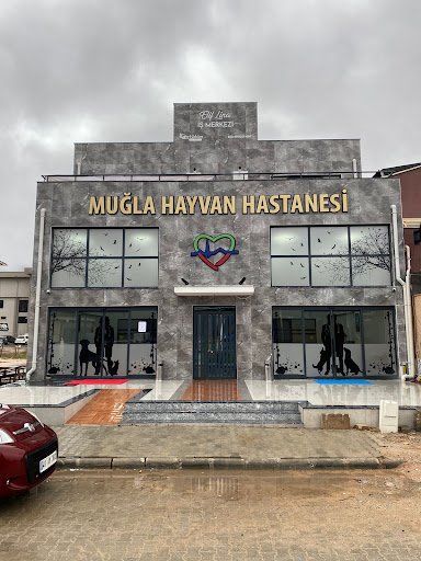 MUĞLA HAYVAN HASTANESİ