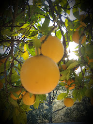 Photo n°10 de Salon Klb à Ajaccio (Salon de coiffure)