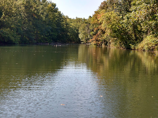 College Settlement Camps-Headwaters Of Pennypack Creek - Thumbnail
