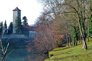 Photo n°35 de Auberge Monnet à La Roche-de-Glun (Cave à vins)