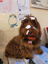Photo n°20 de BOUCHERIE TRAITEUR EL TORO à Aigues-Mortes (Épicerie fine)