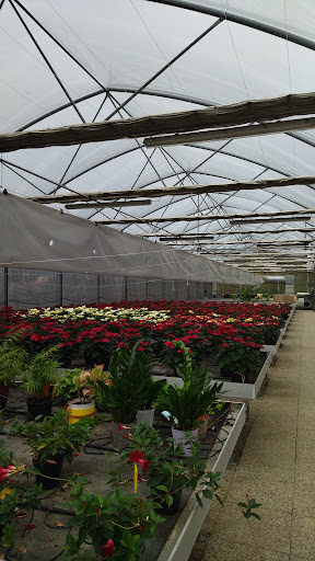 Azienda Agraria Parauro K. Lorenz - Thumbnail