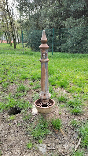 Area gioco cani - Thumbnail