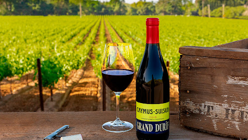 Vinos Wagner - Visual