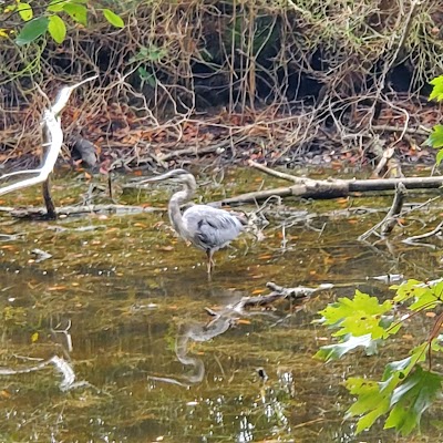 Holts Landing State Park