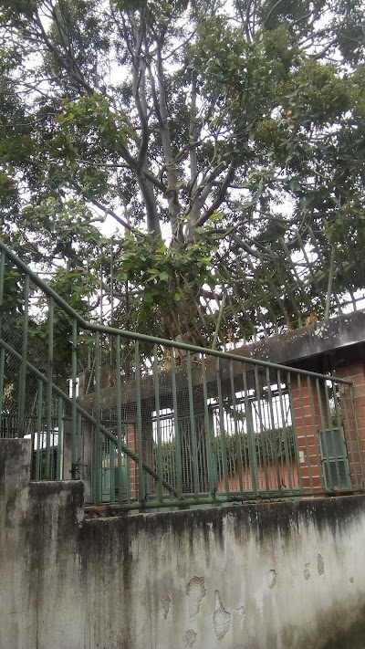 Photos of Parque Lavarreda