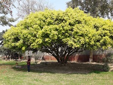 Jinnah Park Okara جناح پارک اوکاڑہ