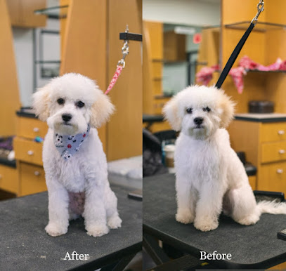 Happy And Lucky Pet Salon And Mobile Grooming.