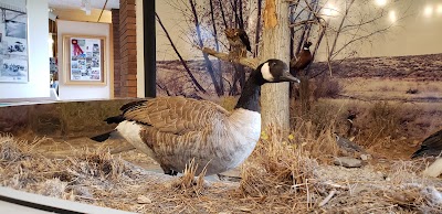 Deer Flat National Wildlife Refuge Admin Building And Visitor Contact Station