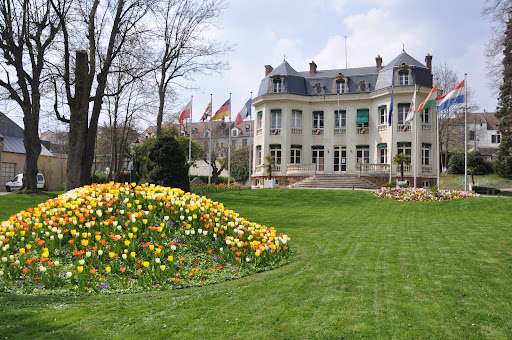 Charley BINAND - Immobilier - IAD France - Andrésy