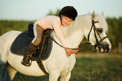 Kings Park Equestrian Gallery - Australia