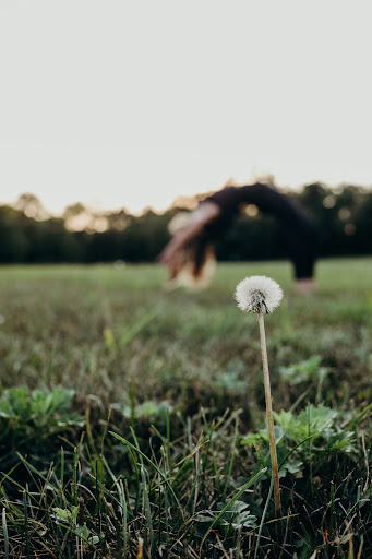 Wild + Free Power Yoga - Thumbnail