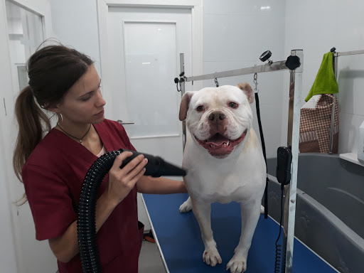 Centro Veterinario Lladrucs