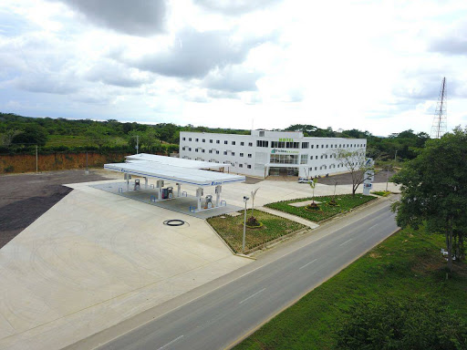 Hotel Palma Grande