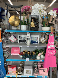 Photo n°3 de Kandy Villers Outréaux à Villers-Outréaux (Animalerie)