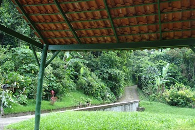 Photos of Mountain Forest (Dwellings)