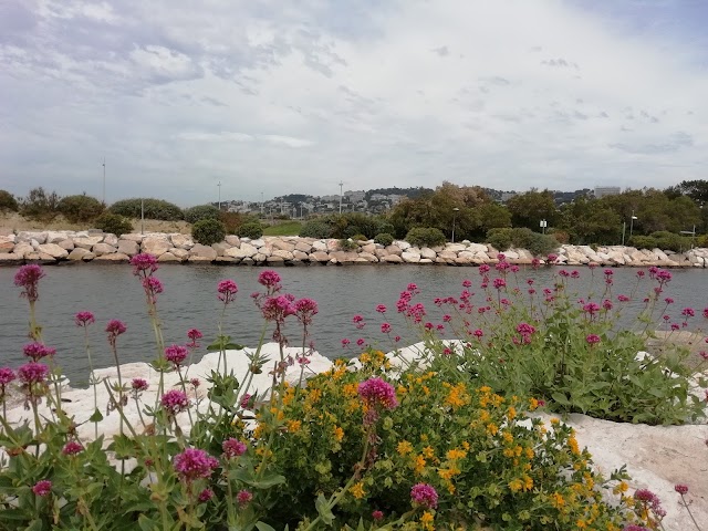 Plages du Prado