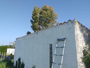 Photo n°3 de DF Home Habitat - Entreprise Dupin à Angoulême (Couvreur)