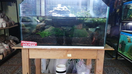 Acuario xalapa kaskarudo - Thumbnail