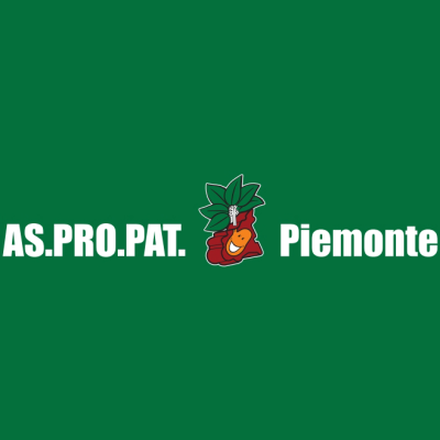 As.Pro.Pat. Piemonte - Visual