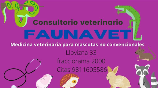 FaunaVet