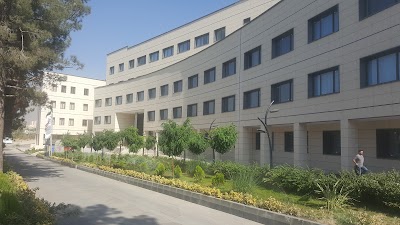 university
