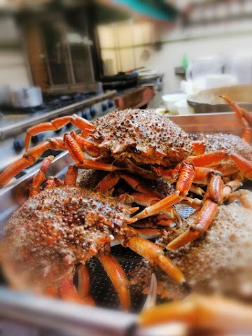 Trattoria da Romano by null