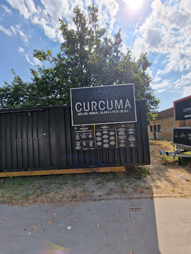 Photo 3 - Curcuma
