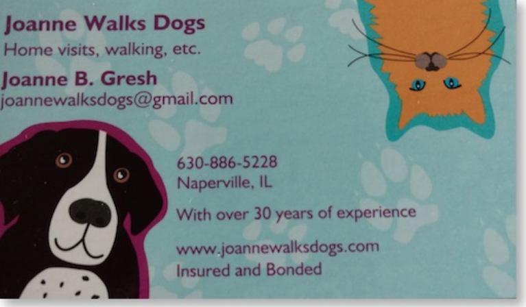 Joanne Walks Dogs