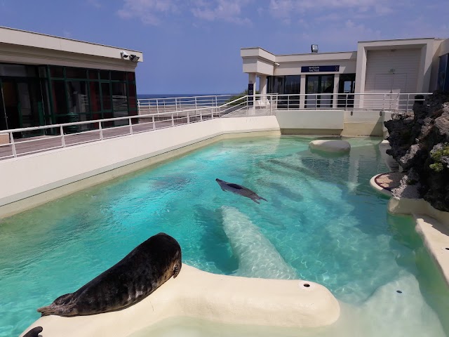 Aquarium de Biarritz