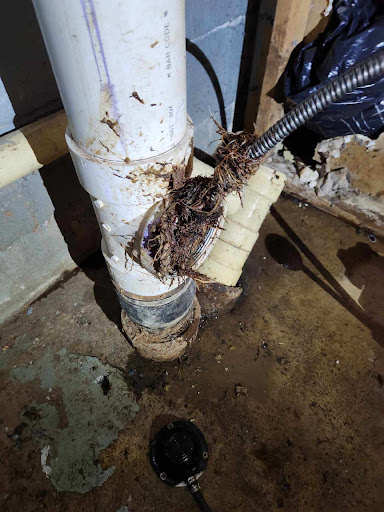 Rhino's Rooter and Drain Cleaning - Thumbnail