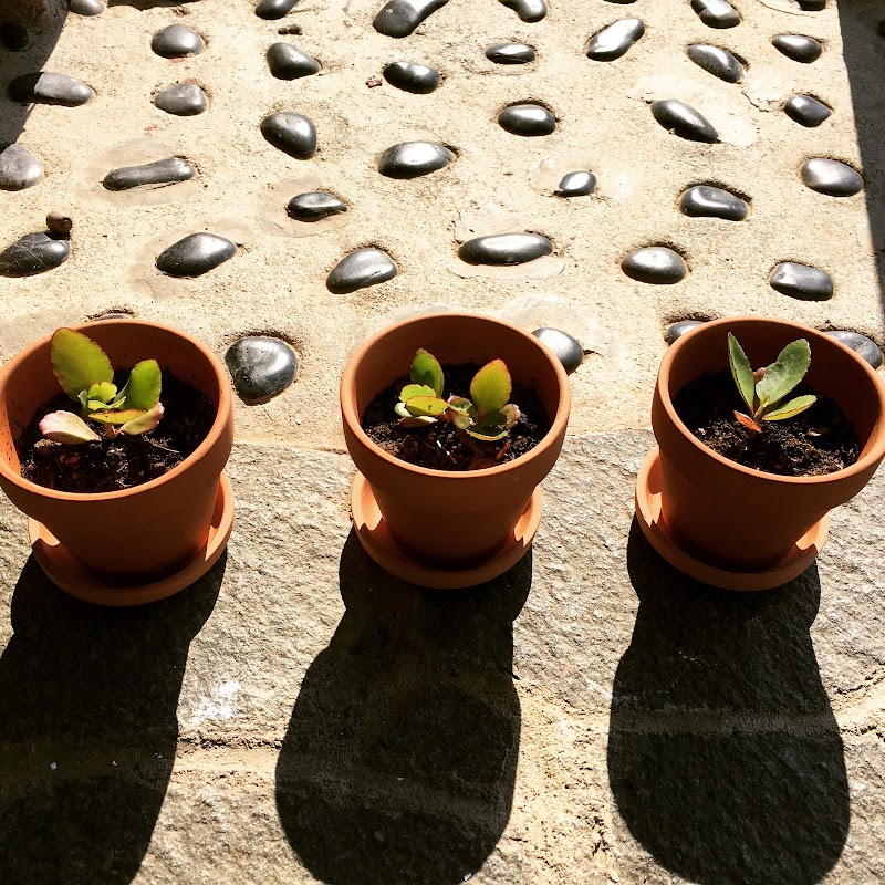 Cafe+G 燈家 AKARI-ya