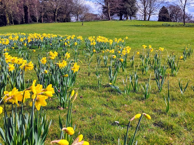 Burghley House