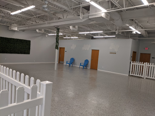 Indoor Zoomies indoor dog park