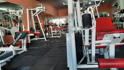 Sport Life Gym