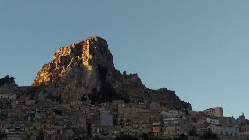 Amato Francesca Maria - Thumbnail