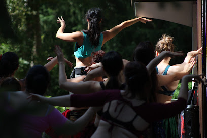 Association Serpentine ~ Danse orientale fusion - Massages bien-être - Herboristerie