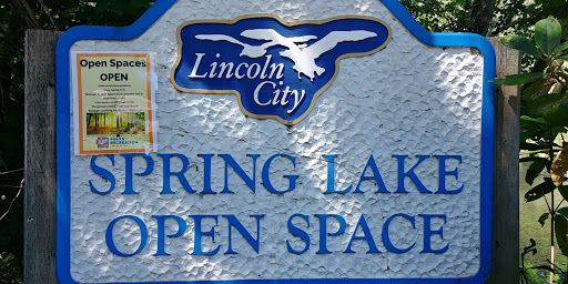 Spring Lake Open Space - Visual