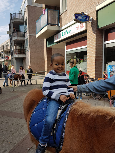Damaris Hairstudio - Netherlands