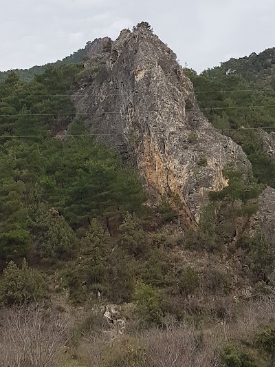 Alibey Çiftliği Aile Pansiyonu