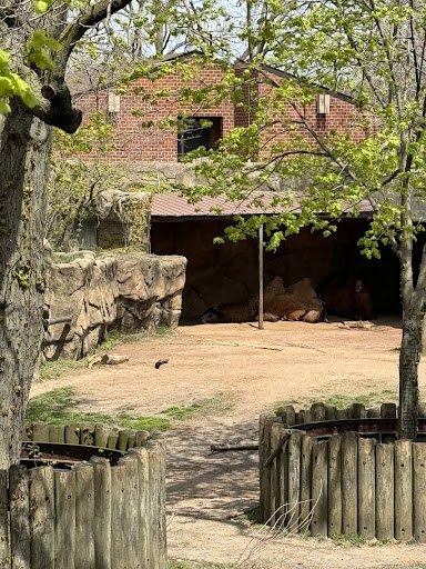 Camel & Zebra - Thumbnail